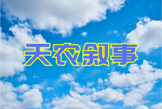 金沙叙事